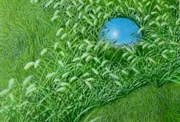 Mirrored Orb in the Grass