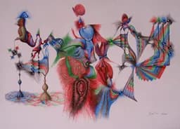 Corpus Callosum