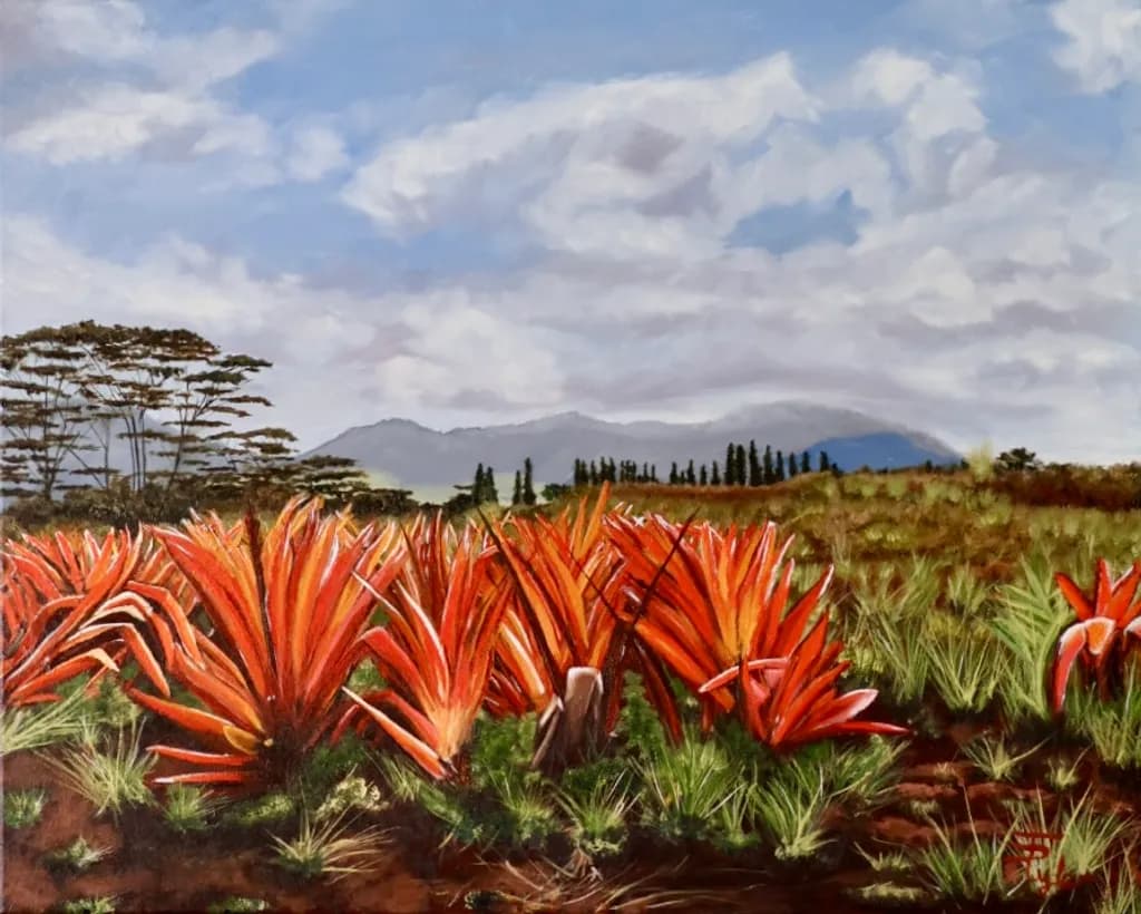 Dole plantation