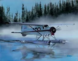Beaver Seaplane Reflection