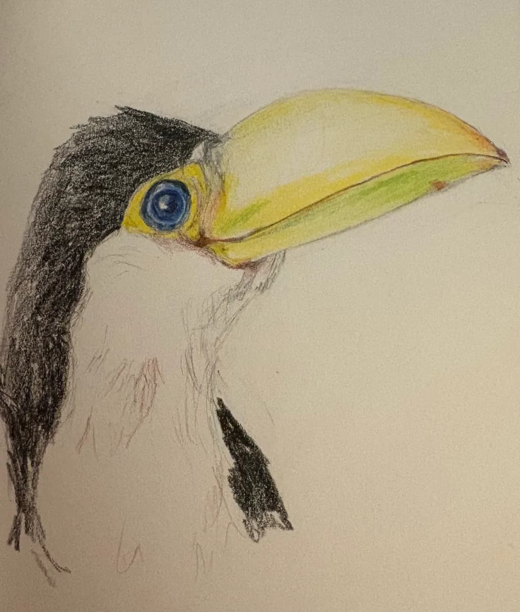 "Glad to Be Here!" Toucan Portrait
