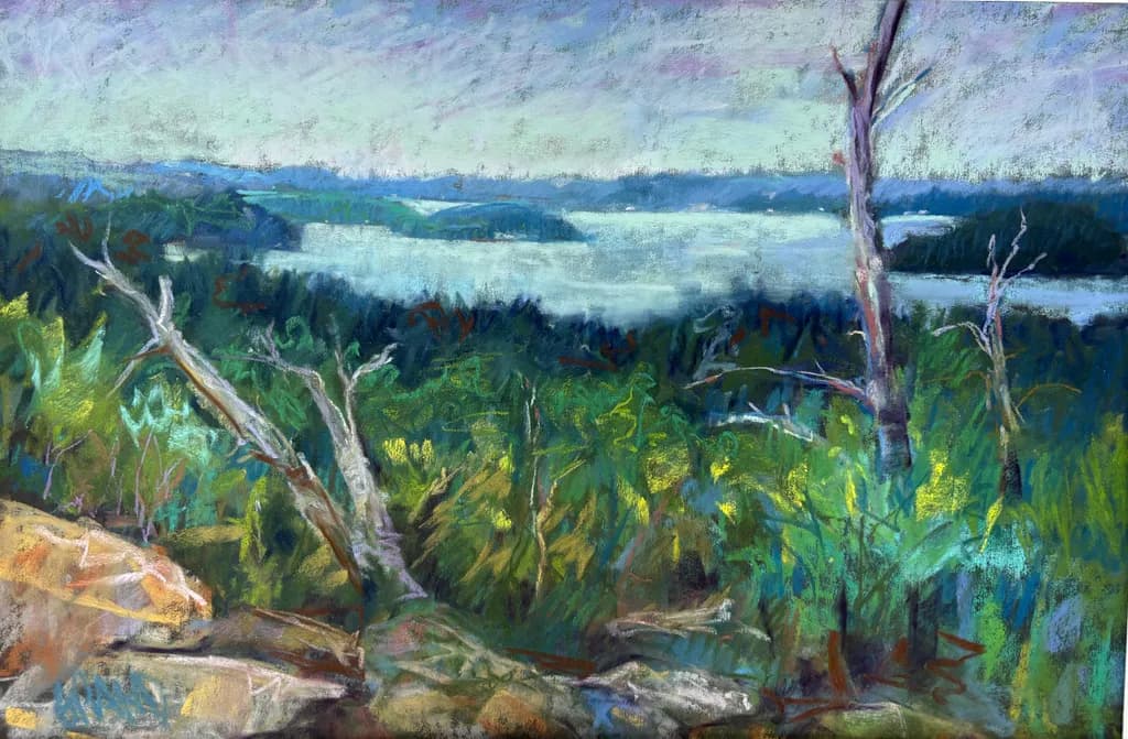 Woodland Lake Vista
