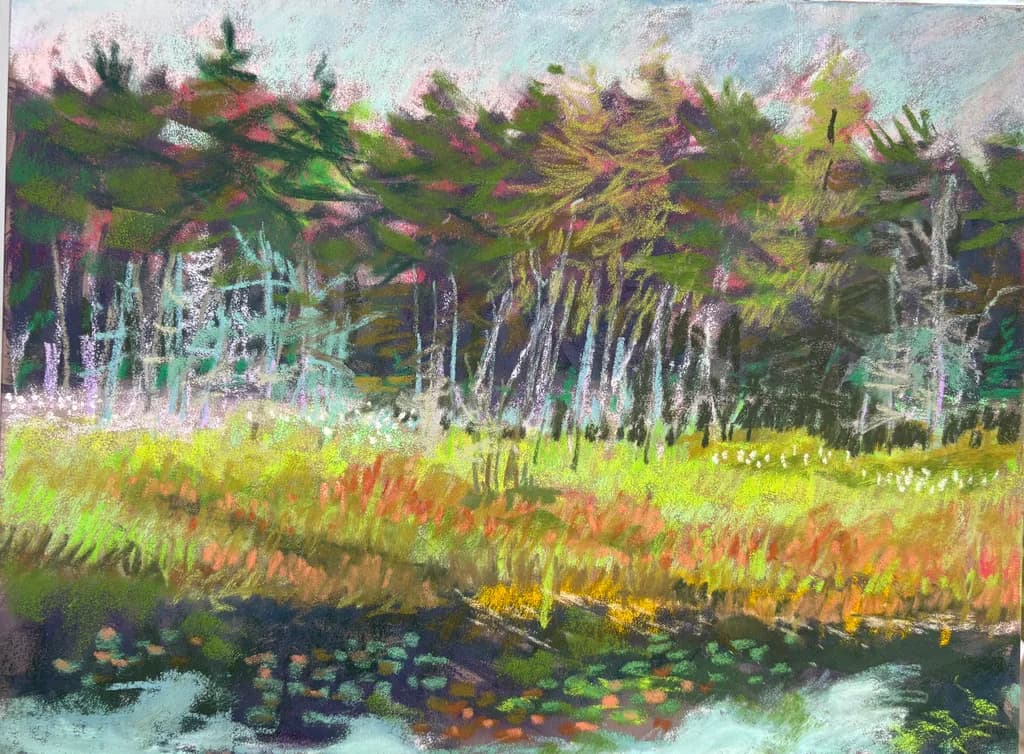 Forest Meadow Reflections