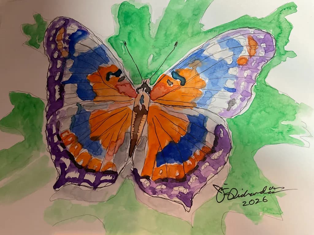 Colorfield Butterfly