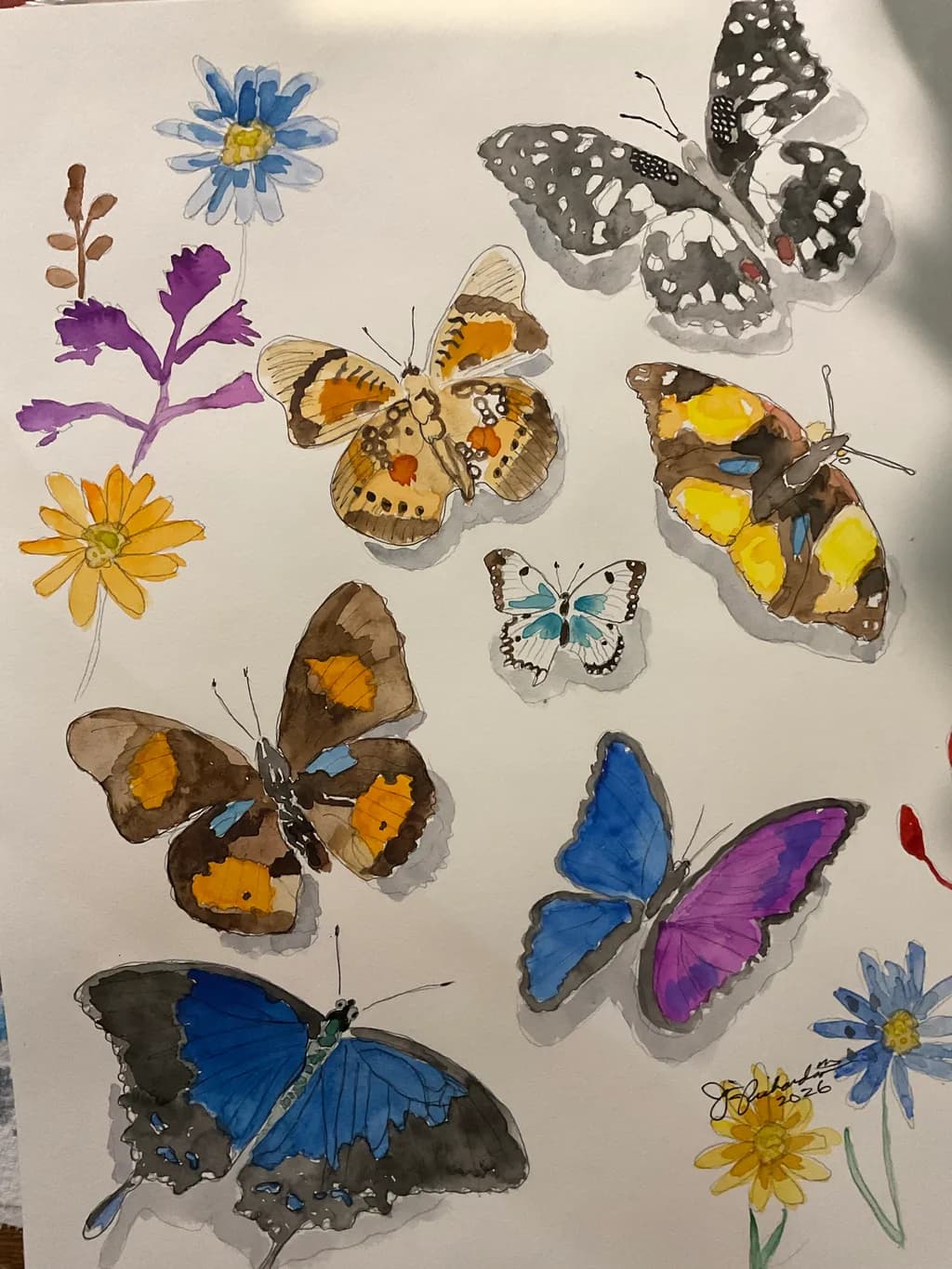 Butterfly Garden Study