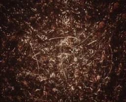 Ravaged souls. Eternity in darkness.