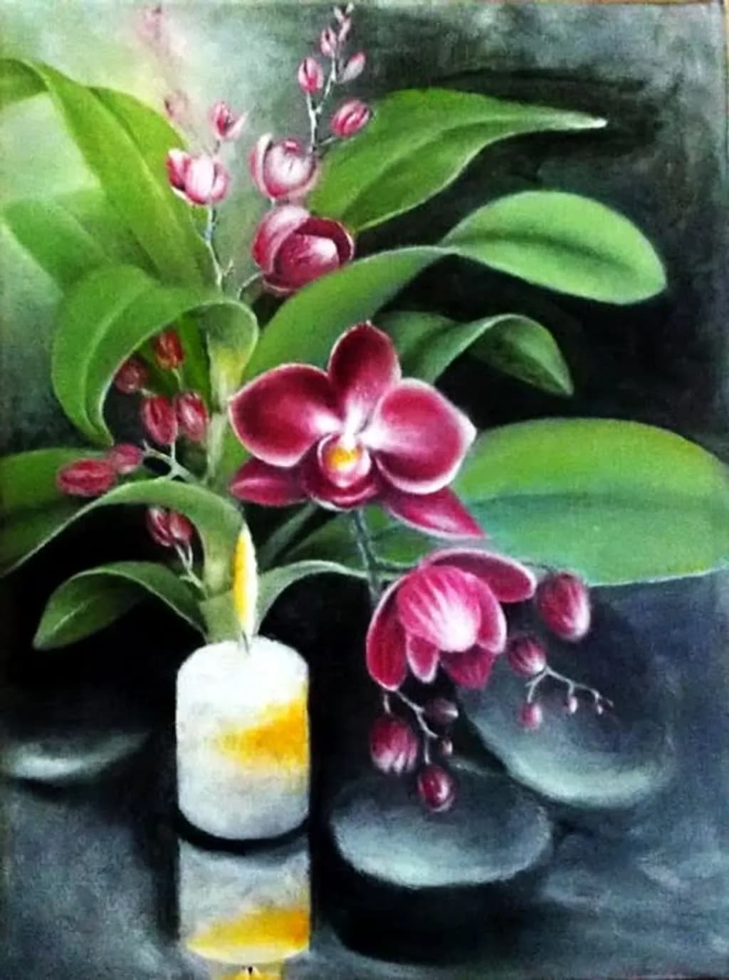 Orchidee Dendrobium