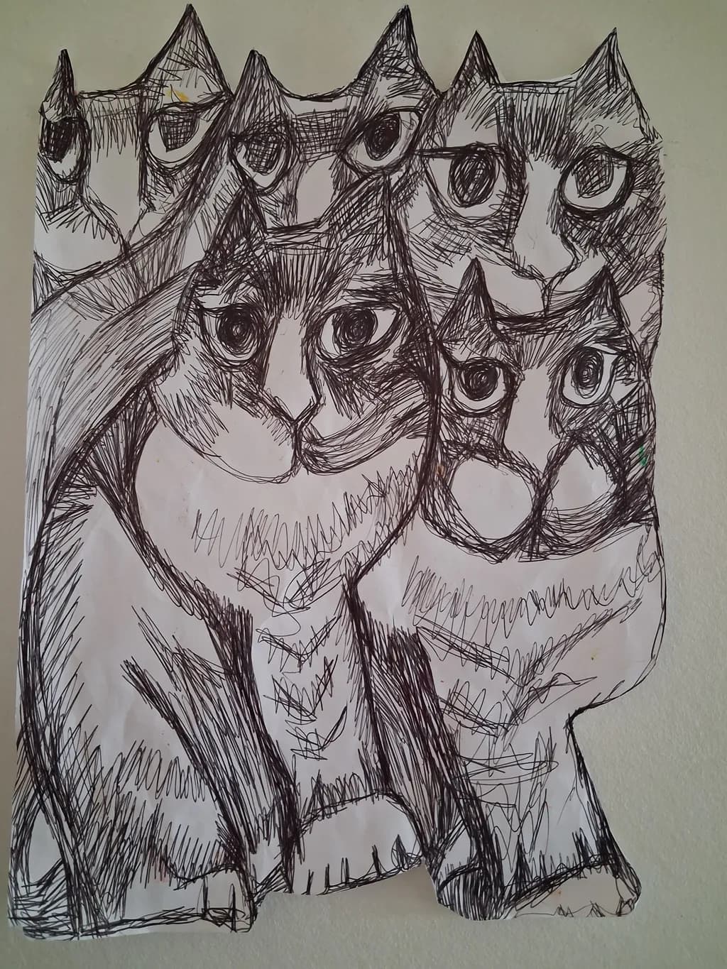 Gathered Cats