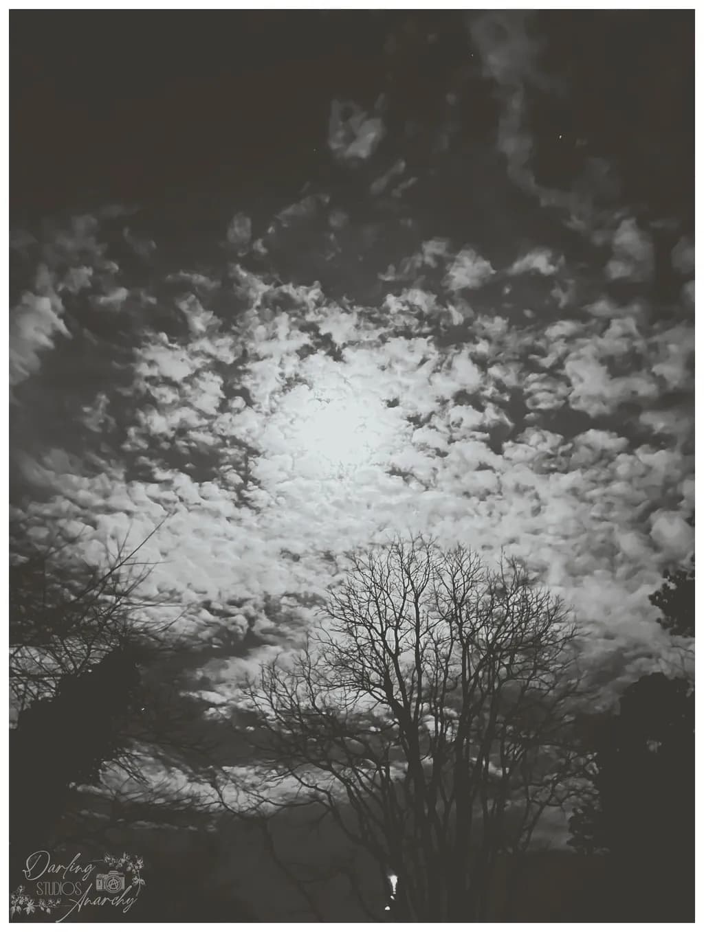 Moonlit Clouds and Trees