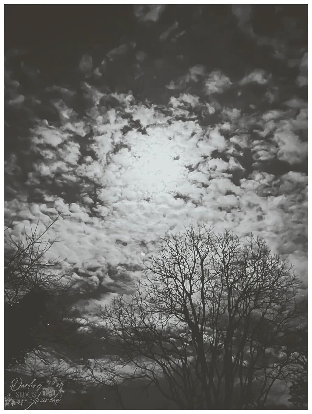 Clouds Over Bare Trees