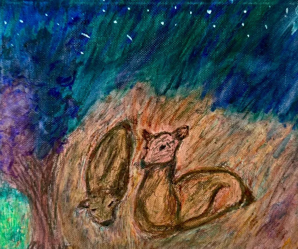 Doe and fawn resting Under Stars
