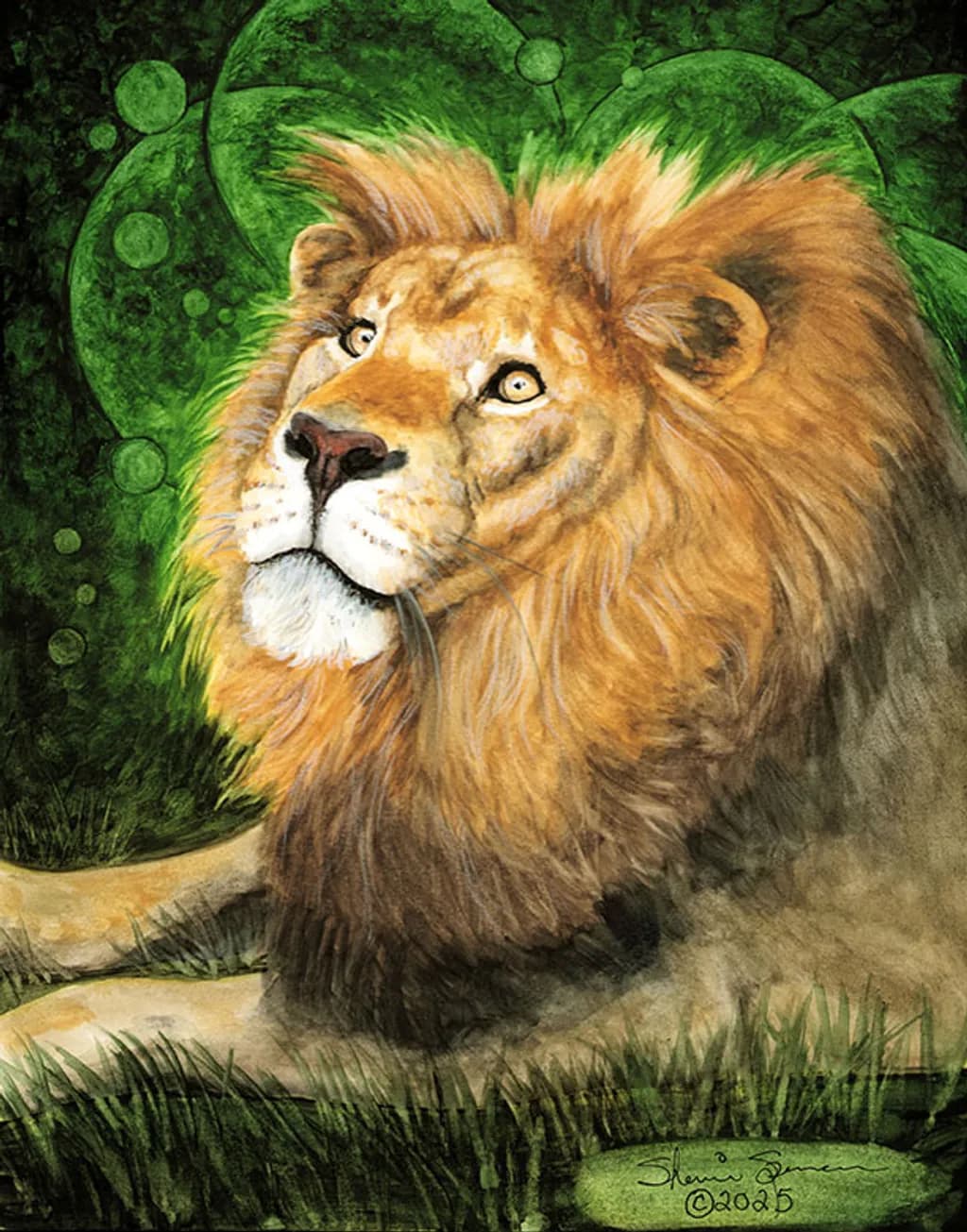 Siombe Lion Portrait