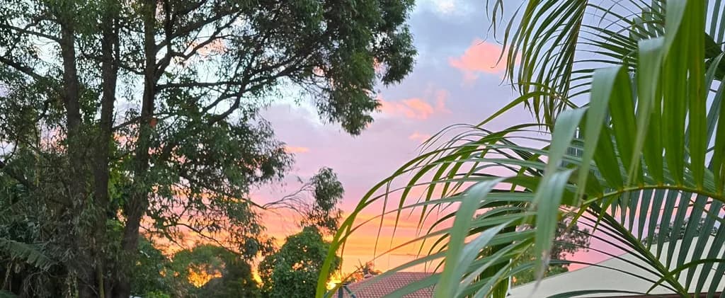 Palm-Framed Sunset