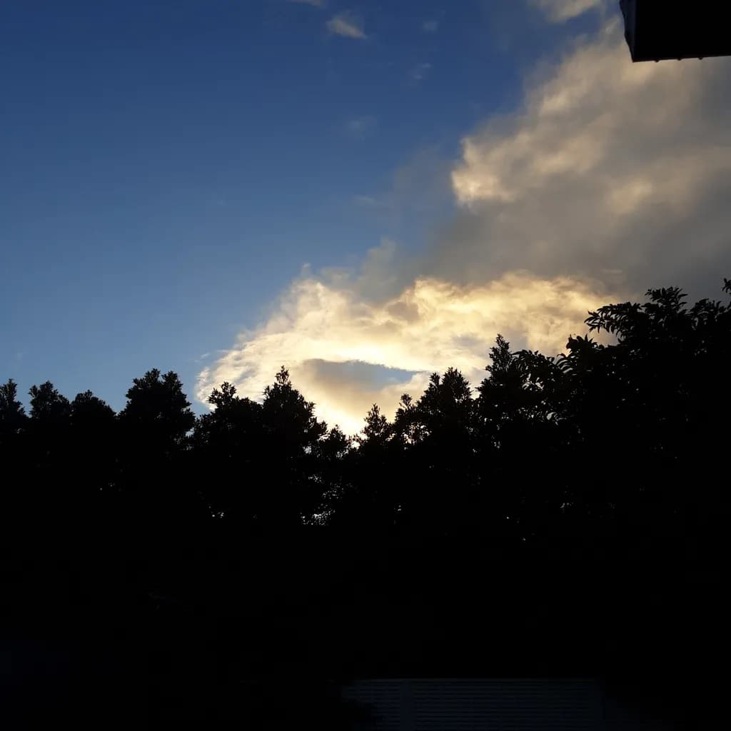 Golden Clouds Over Silhouetted Trees
