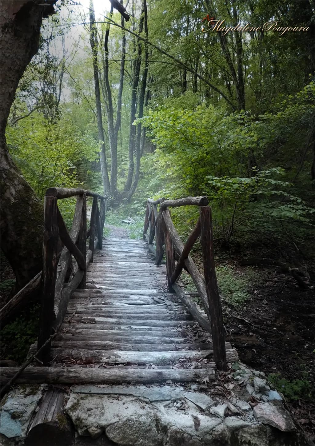Path in the Woods