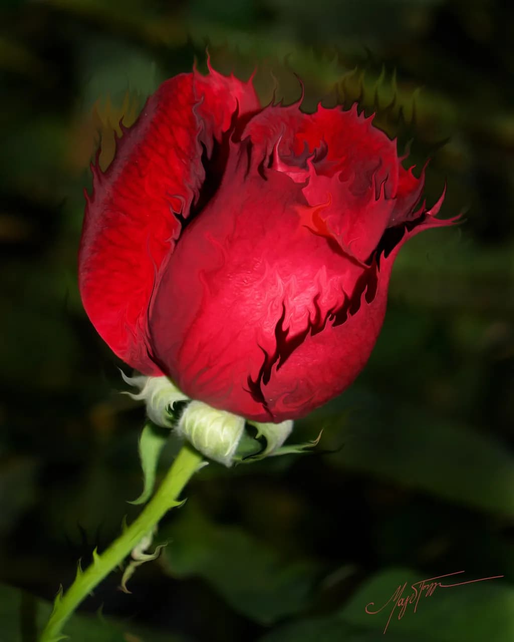 Passion