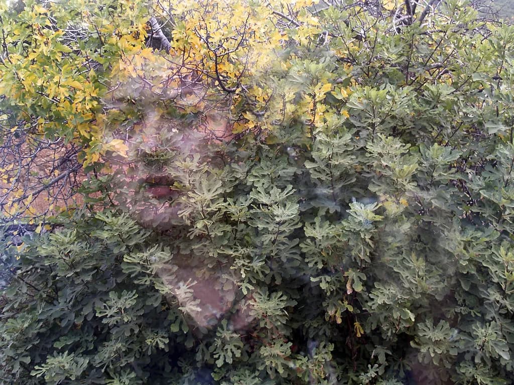 Thought-form