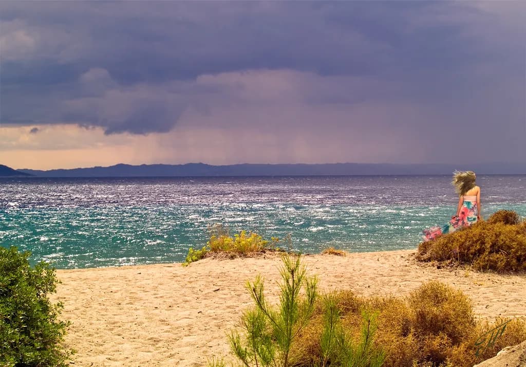 Summer is over_2