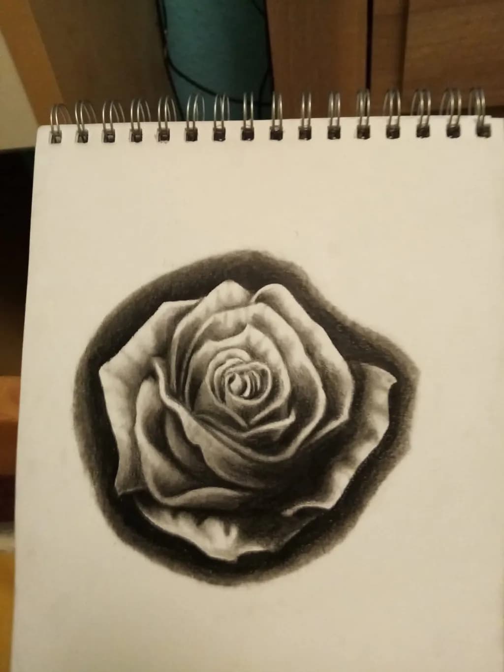 Monochrome Rose Study