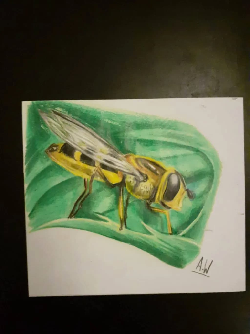Golden Wasp on Leaf