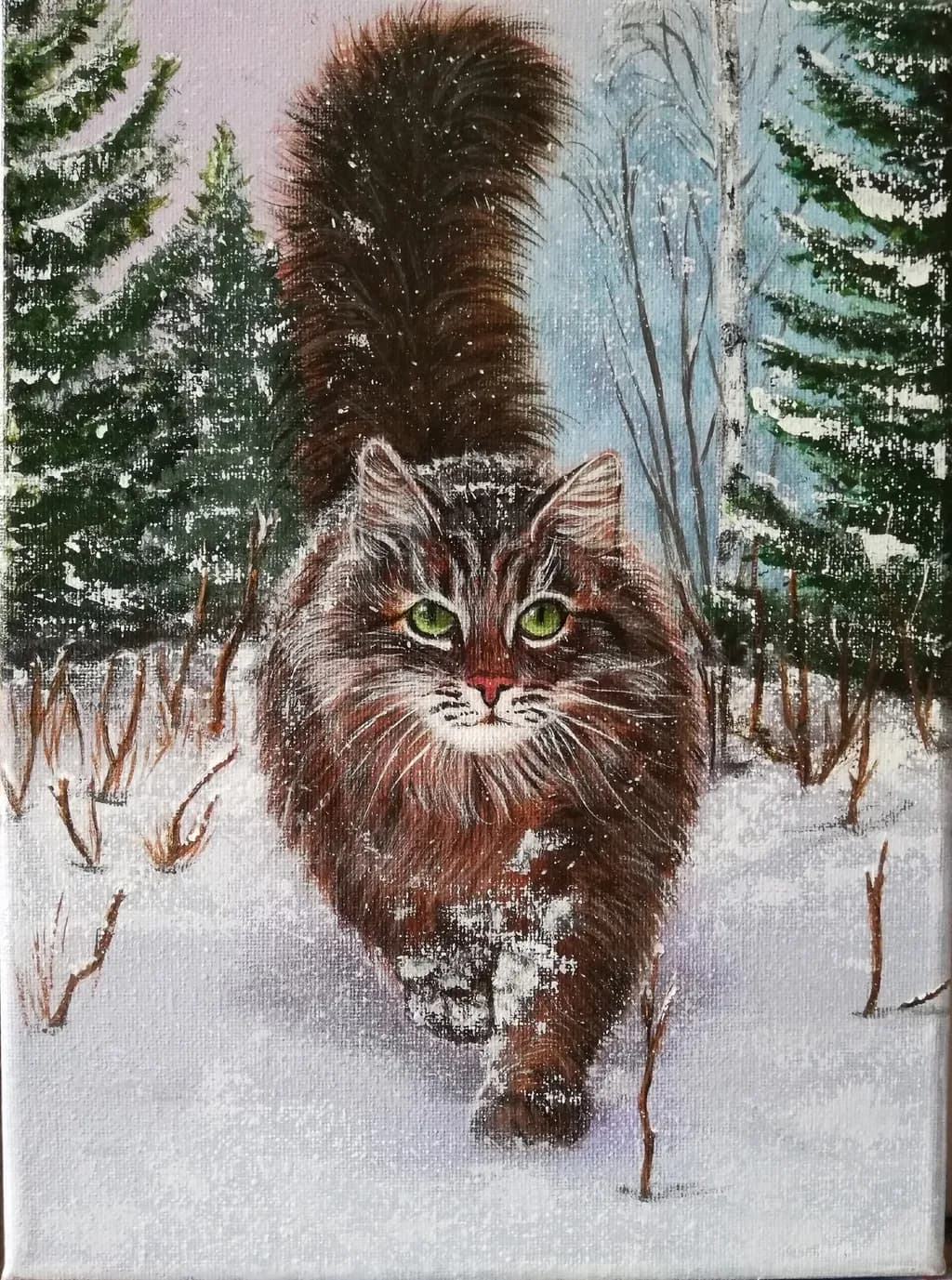 Mr Cat