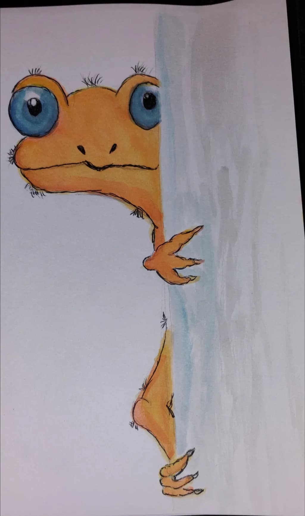 Big-Eyed Wall Peeker