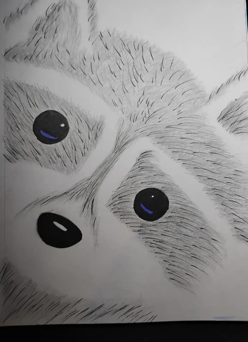 Curious Puppy Eyes