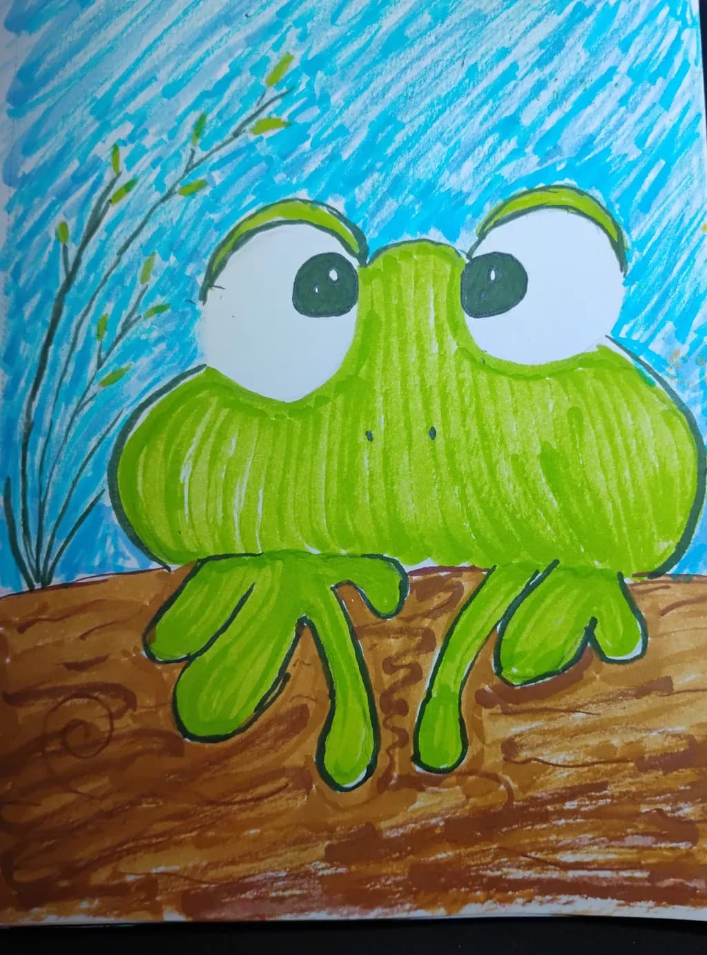 Bright-Eyed Frog