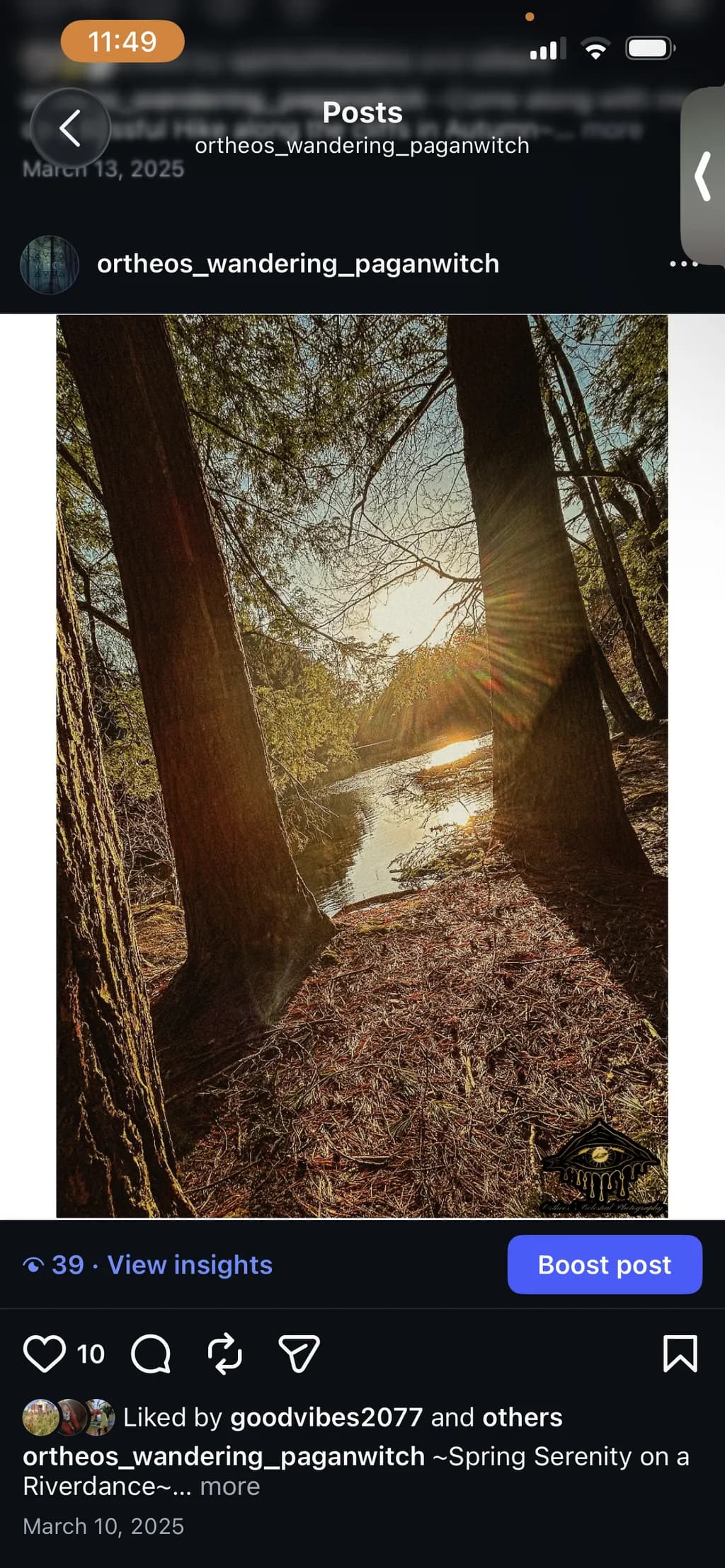 Sunlit Forest Creek