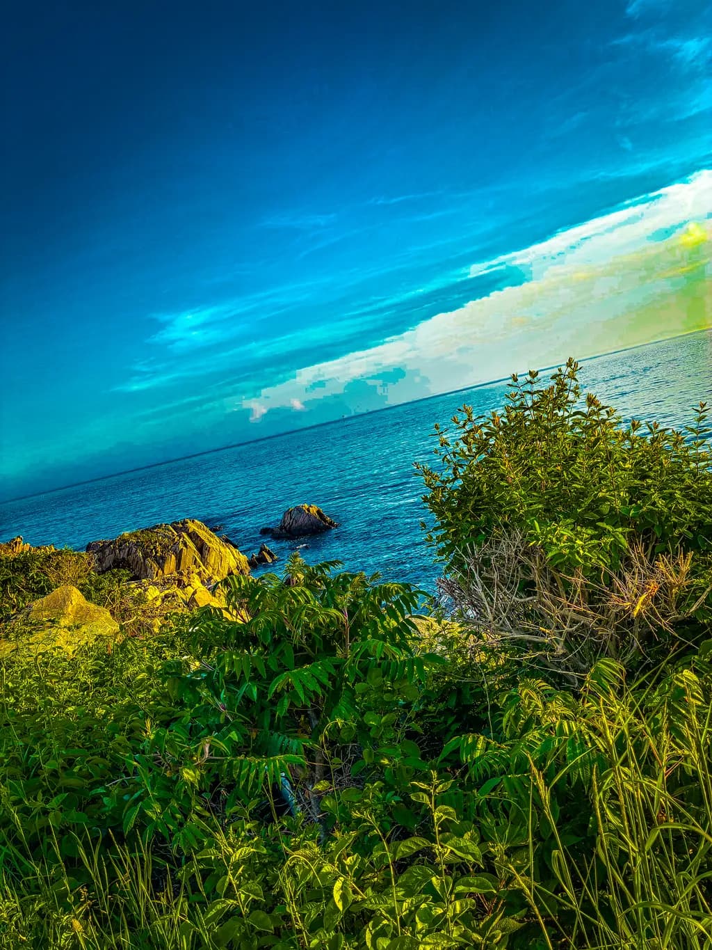Tropical Coastline