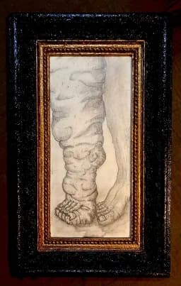 Leg and Foot Study