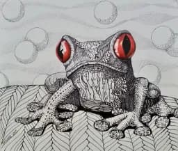 Red-Eyed Frogfantasy