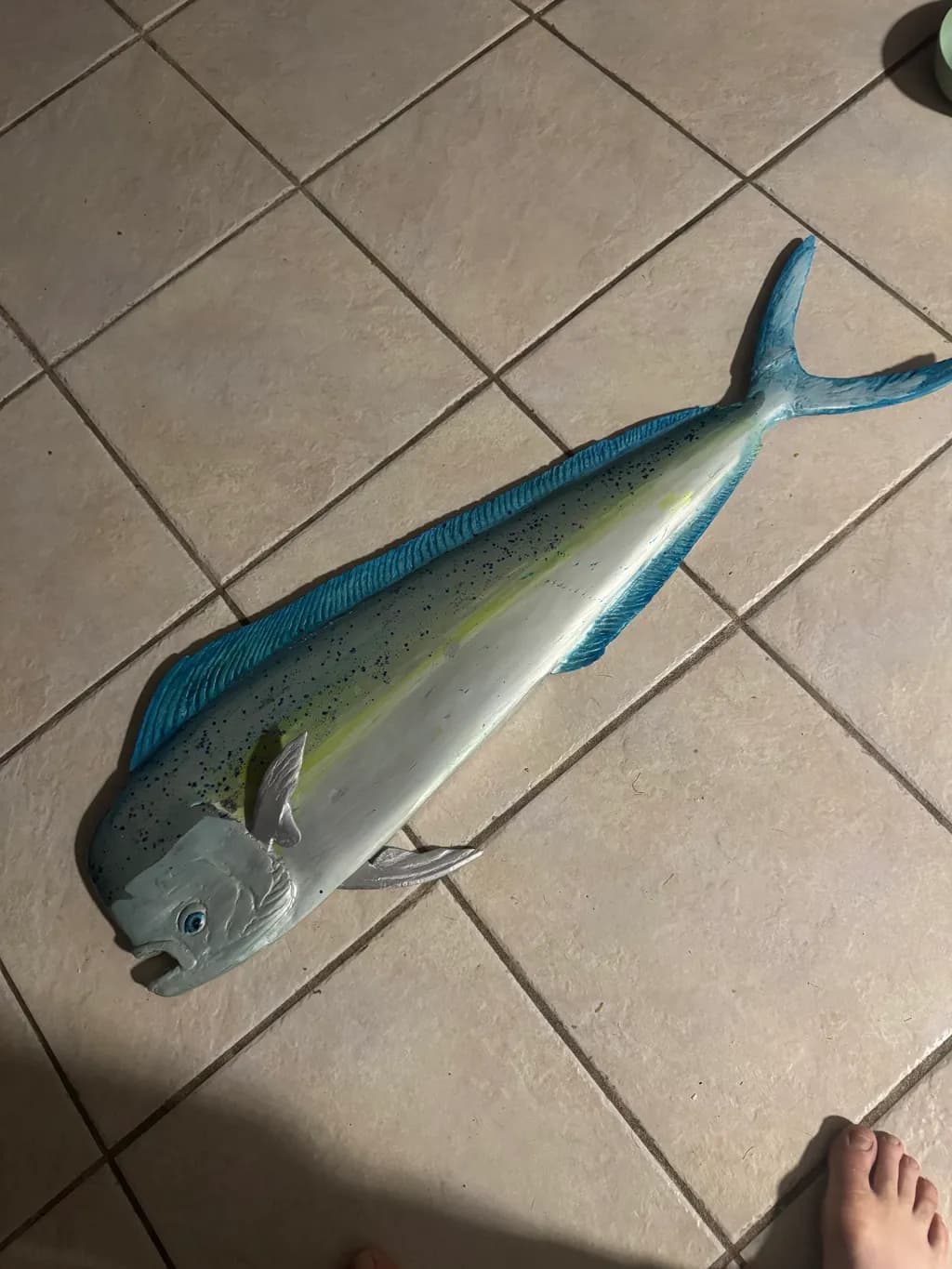 Blue Mahi-Mahi