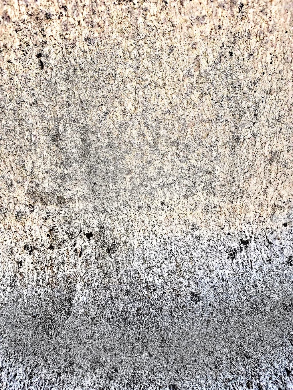 Empire of Dust