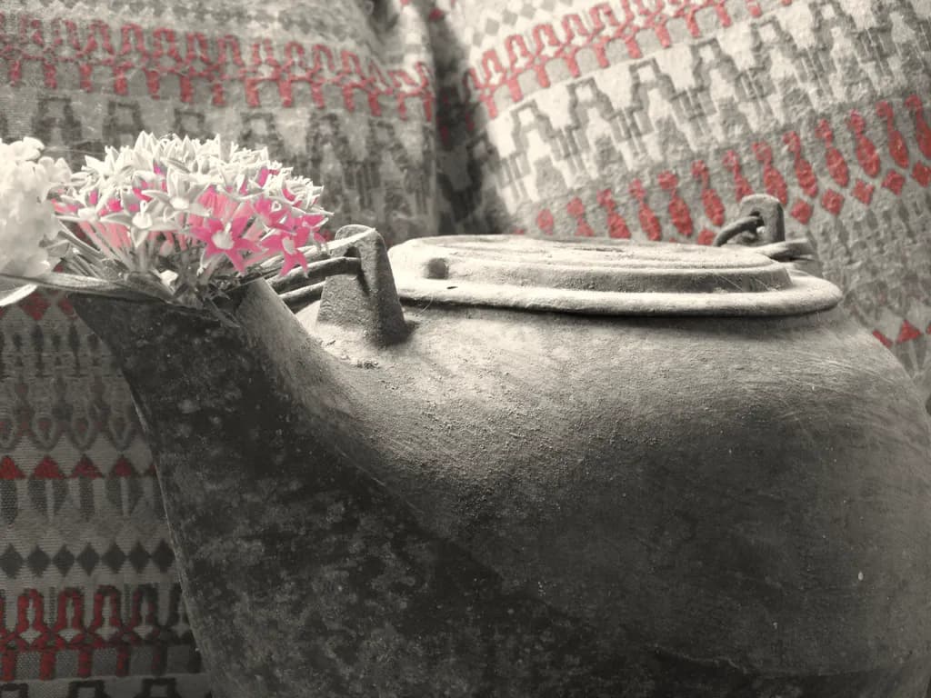 Pink Flowers in Clay Pot