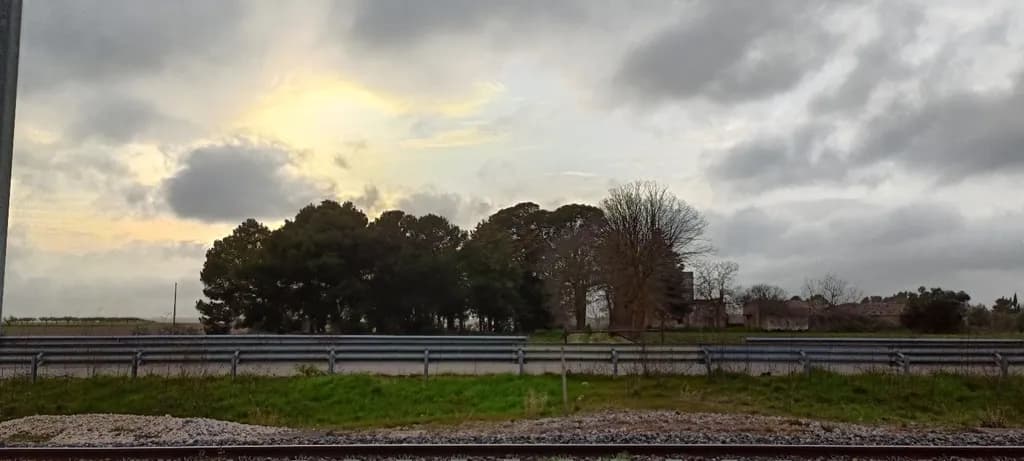Roadside Evening Light
