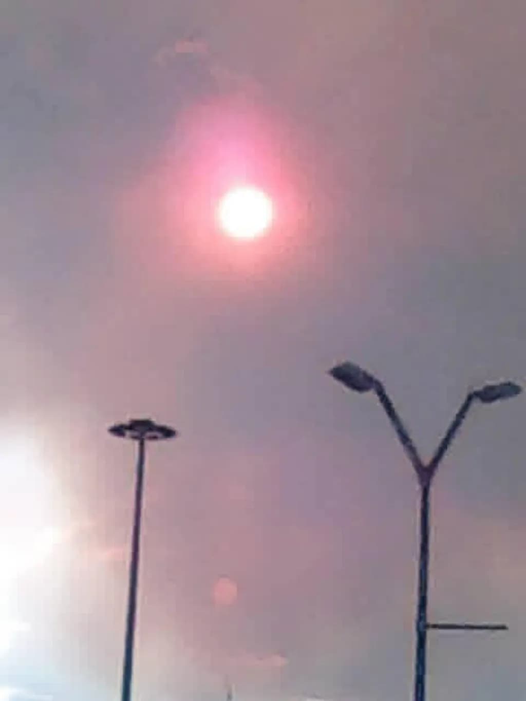 Pink Sun Streetlights
