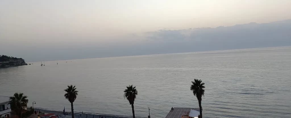 Palms by the Sea