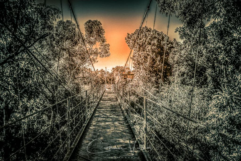 Suspended Bridge Walk