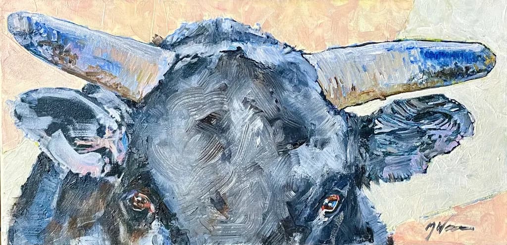 Little Black Bull