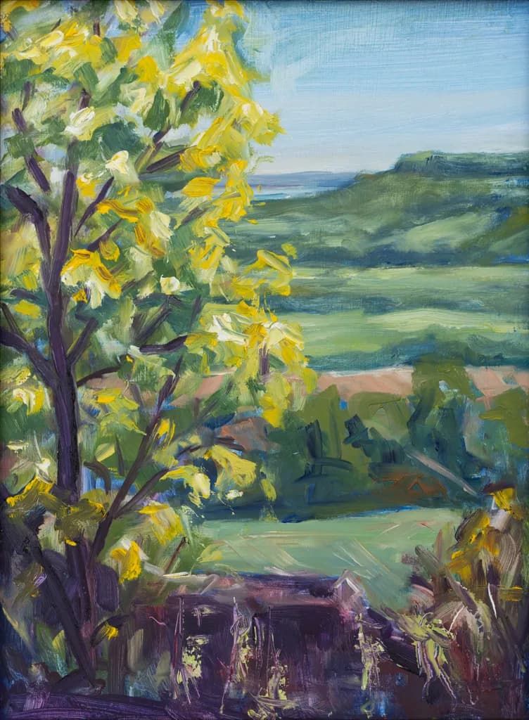 Whispers of Spring: A Vibrant Landscape Awash in Golden Hues and Lush Greens