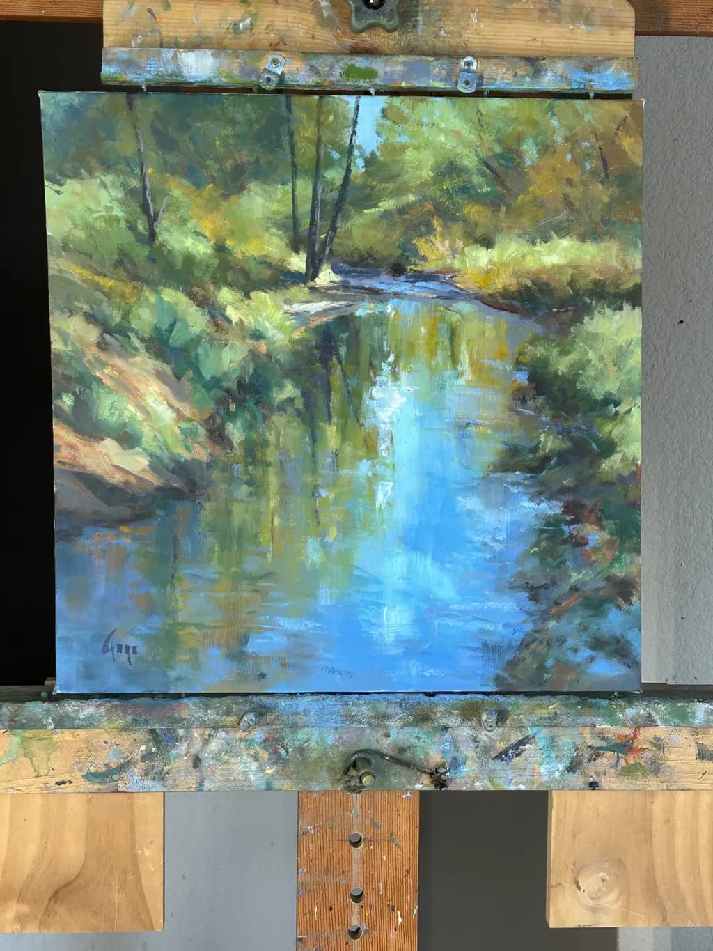 Serenity by the Stream: A Tranquil Reflection of Nature's Beauty