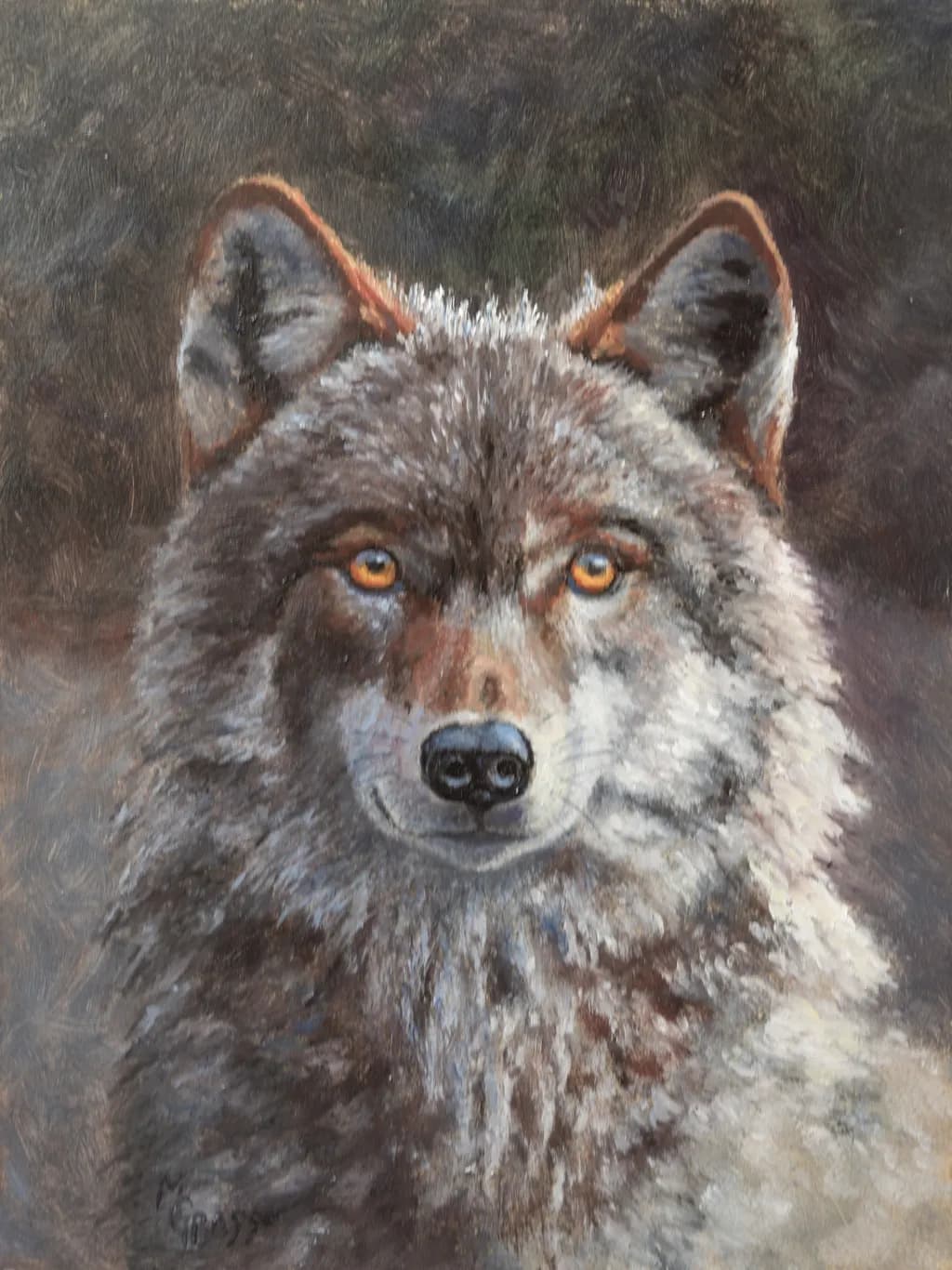Wolf's Amber Gaze