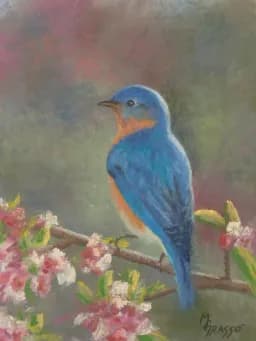 Bluebird in Bloom