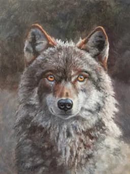 Wolf's Amber Gaze