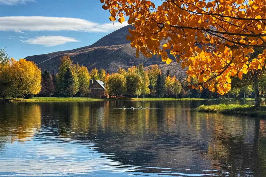 Autumn Reflections