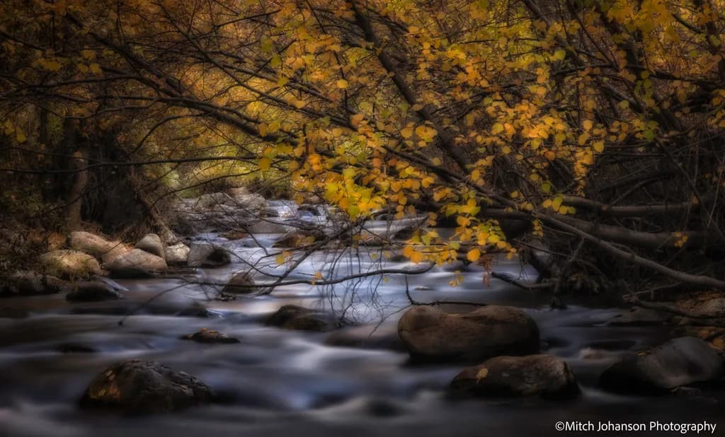 Glowing Autumn Stream