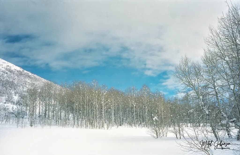 Snow Field