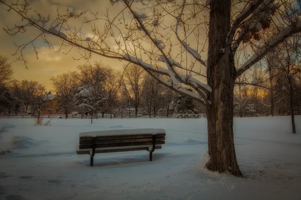 Cold Bench
