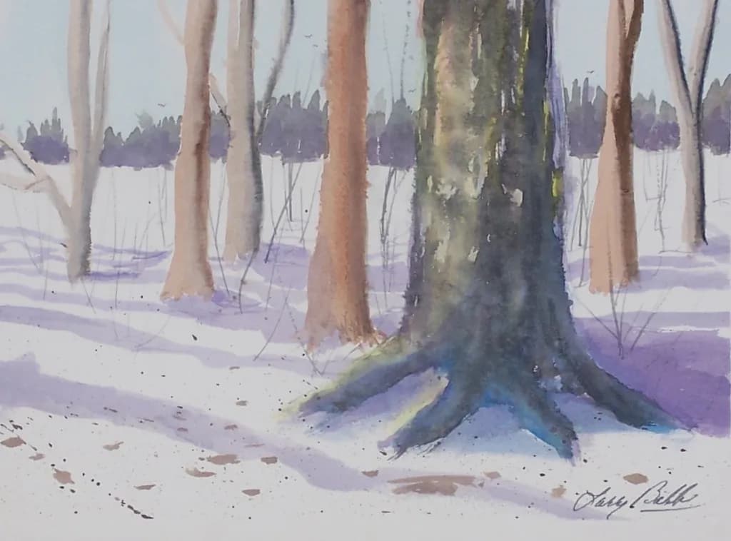 Winter Forest Shadows
